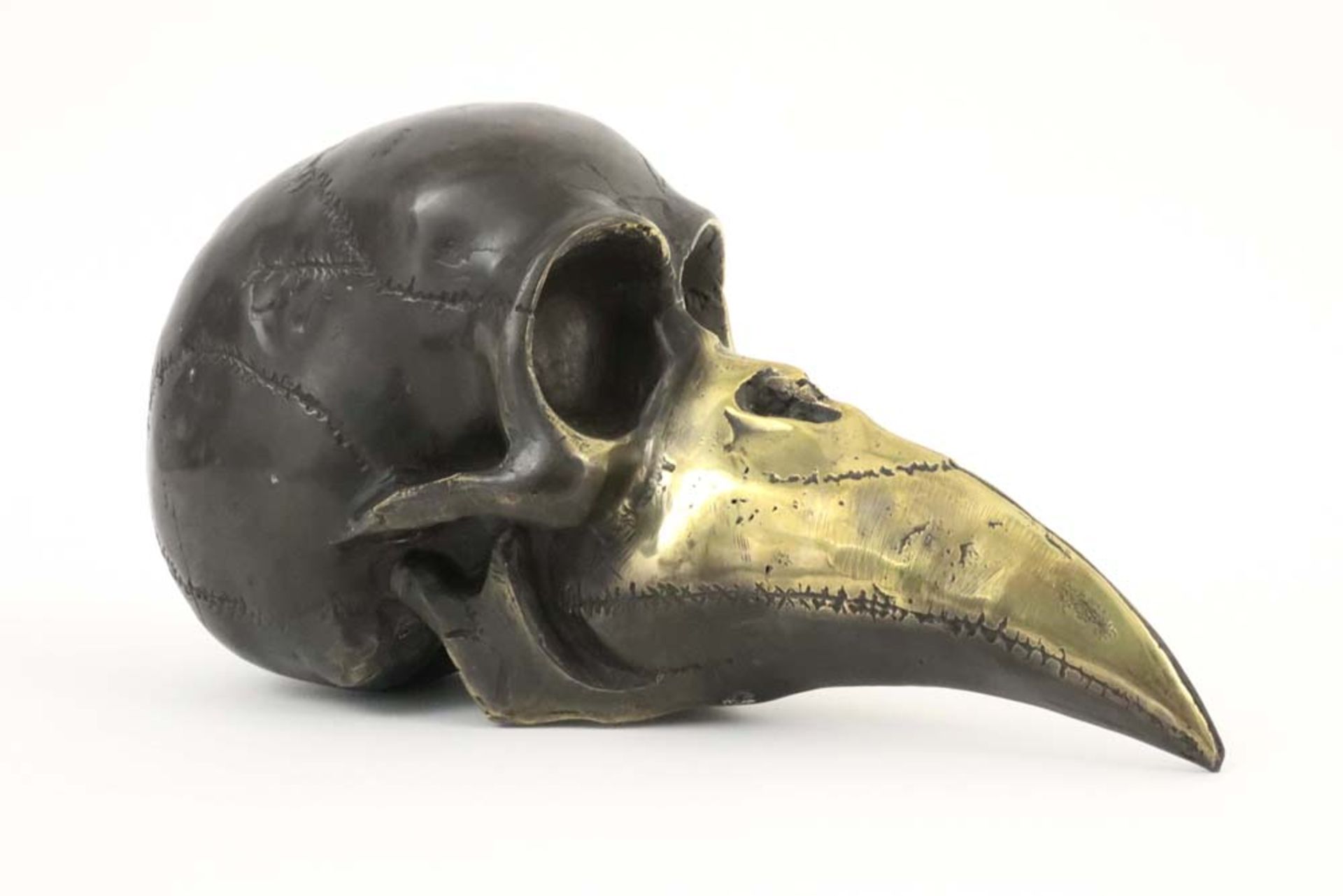 20th Cent. bronze "skull with beak" sculpture in bronze || 20ste eeuwse sculptuur in gepolierde