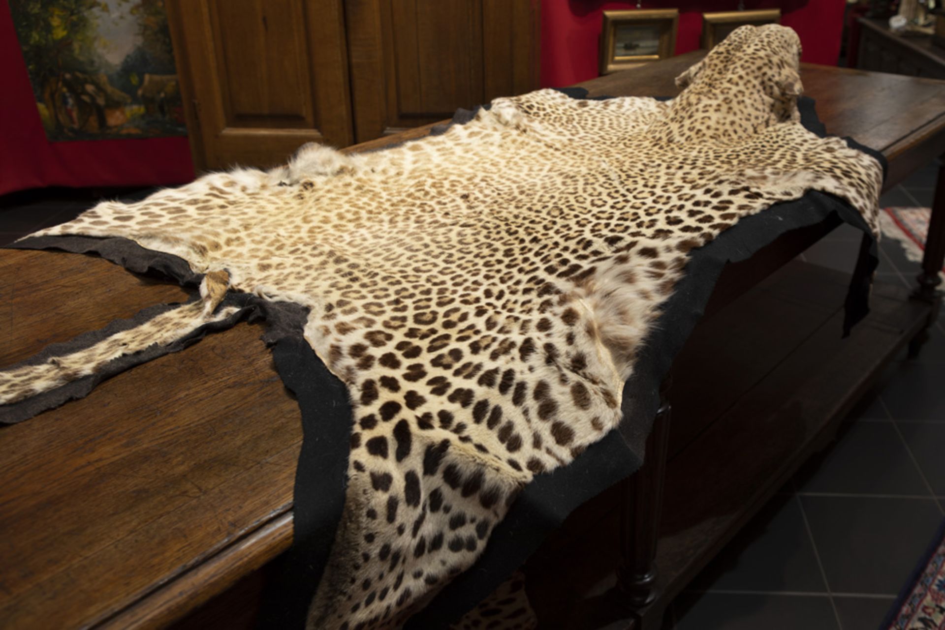 pre 1940's tanned leopard skin (and head) fitted as a rug || Gelooid luipaardvel met kop - Bild 4 aus 4