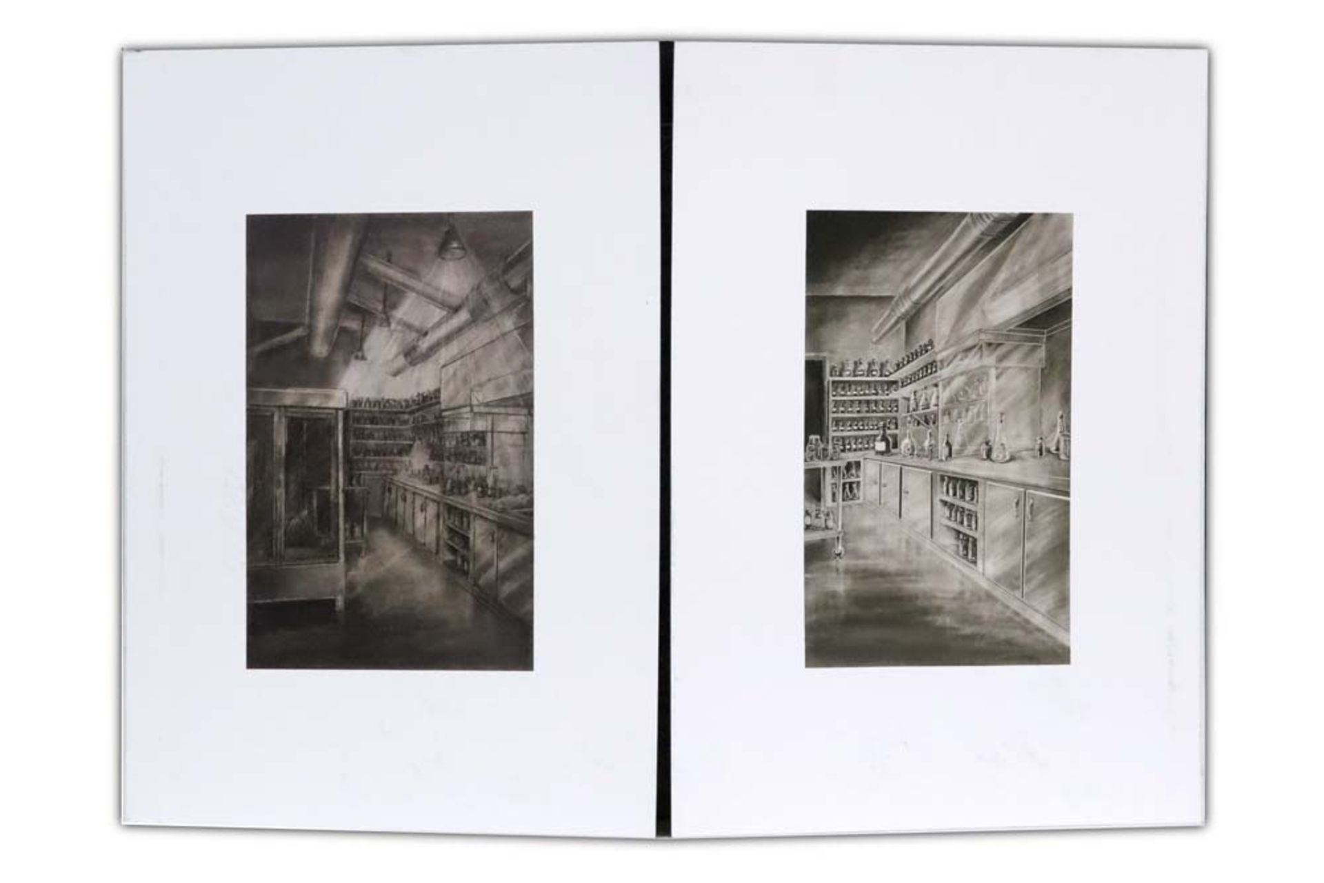 Peter de Cupere signed "Miniature Laboratory" triptych with prints dated 2013 || DE CUPERE