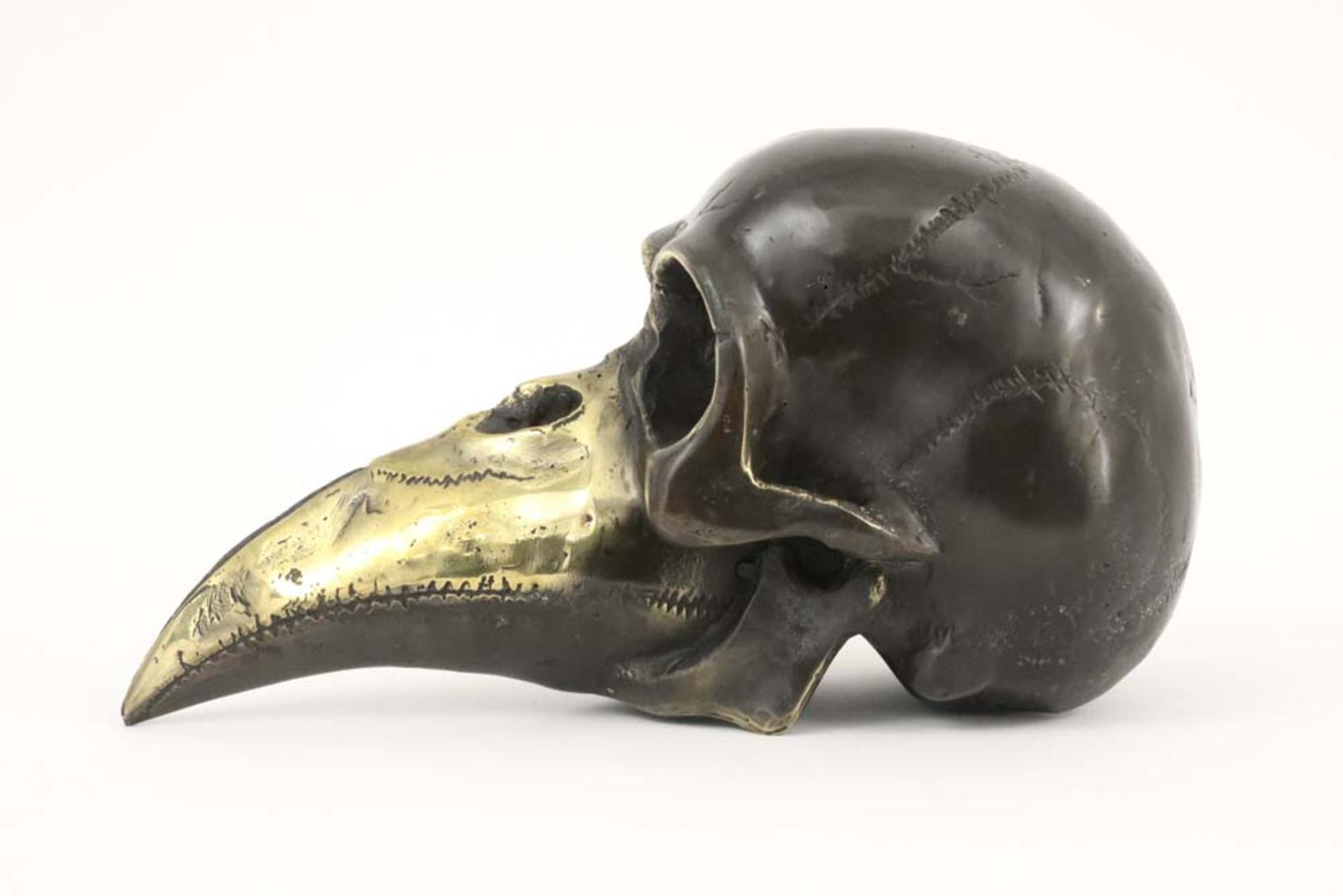 20th Cent. bronze "skull with beak" sculpture in bronze || 20ste eeuwse sculptuur in gepolierde - Bild 3 aus 4