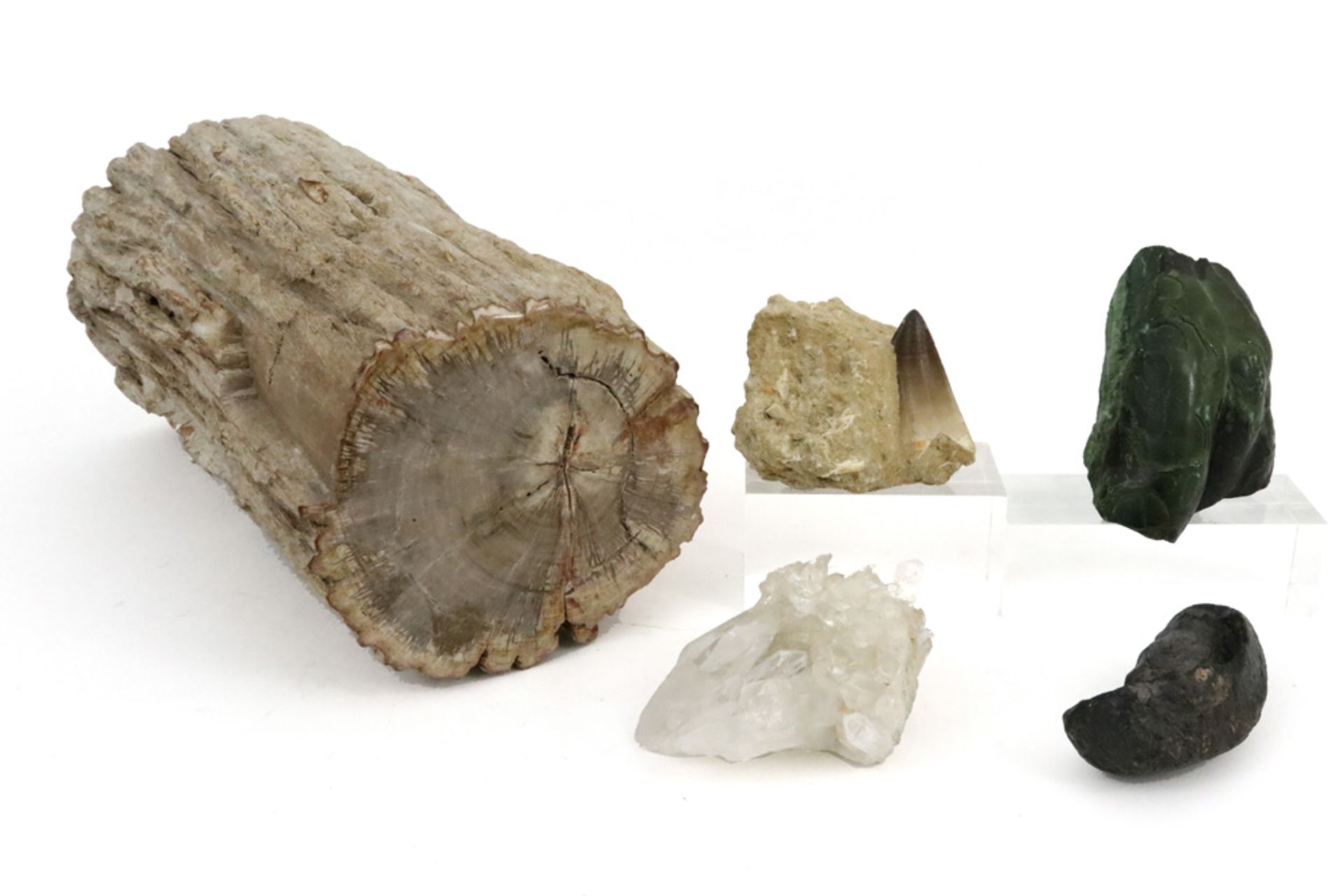 lot with two stones (quartz crystal and malachite), two fossils (whale inner ear & molosaur tooth) &