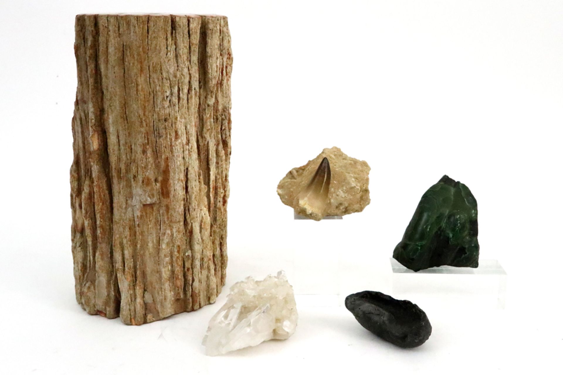 lot with two stones (quartz crystal and malachite), two fossils (whale inner ear & molosaur tooth) & - Bild 2 aus 3