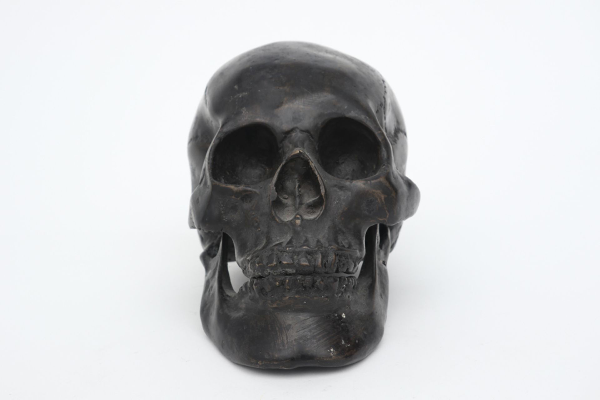 bronze Memento Mori skull || Memento Mori - schedel in brons met mooie patine - 13 x 19 x 10 cm - Bild 4 aus 4