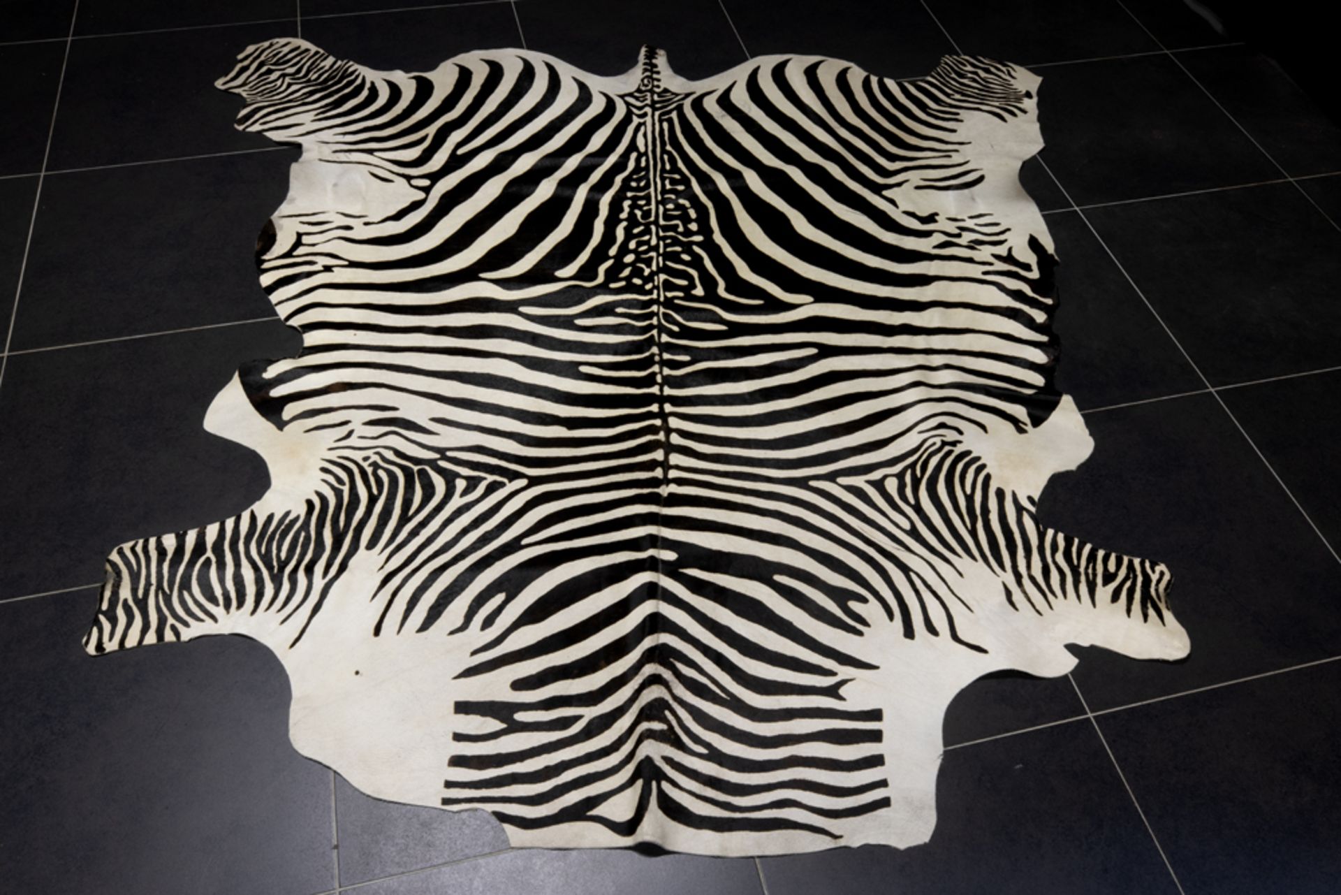 well preserved zebrahide rug || Goed bewaard zebravel - ca 218 x 225 cm - Bild 2 aus 2