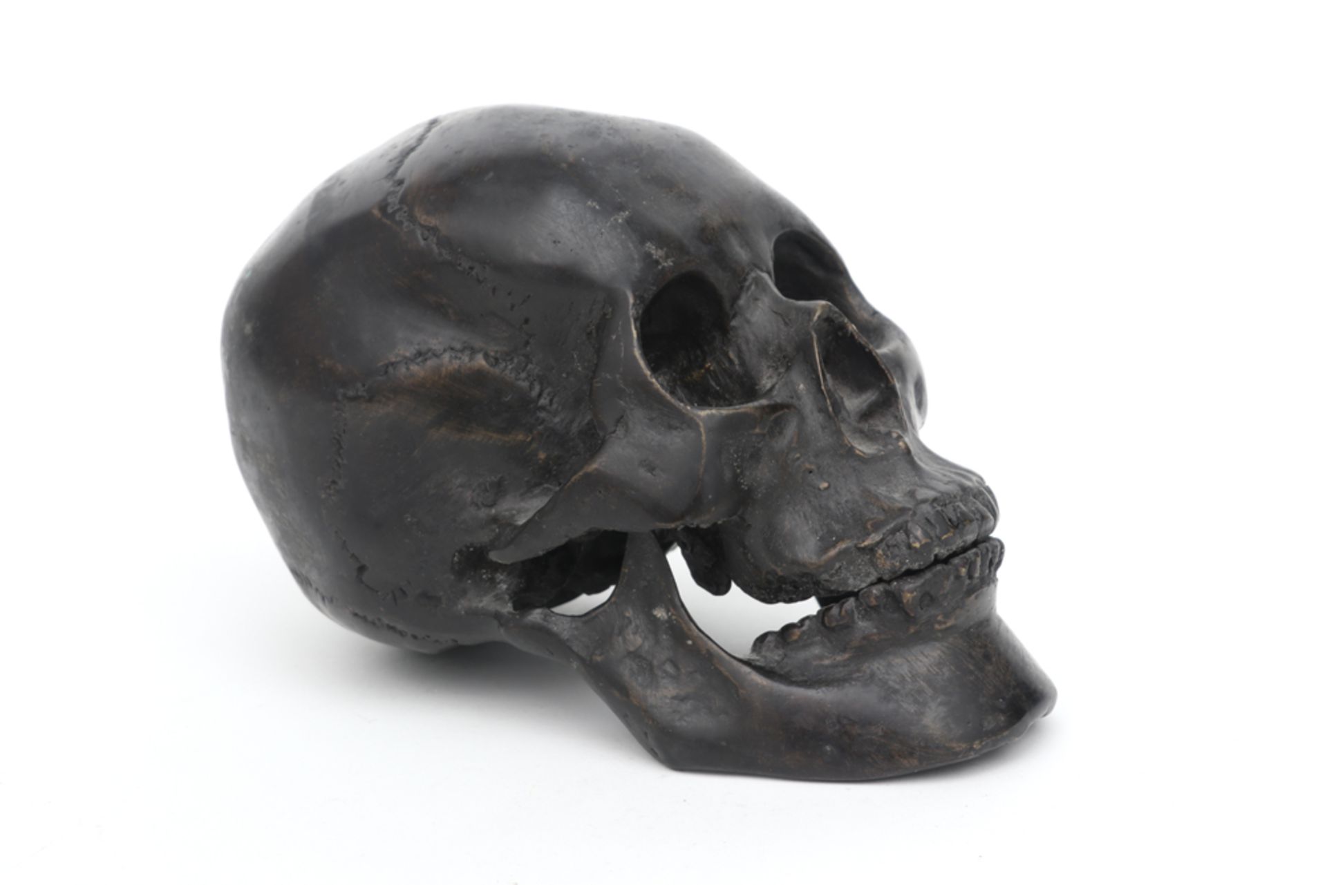 bronze Memento Mori skull || Memento Mori - schedel in brons met mooie patine - 13 x 19 x 10 cm