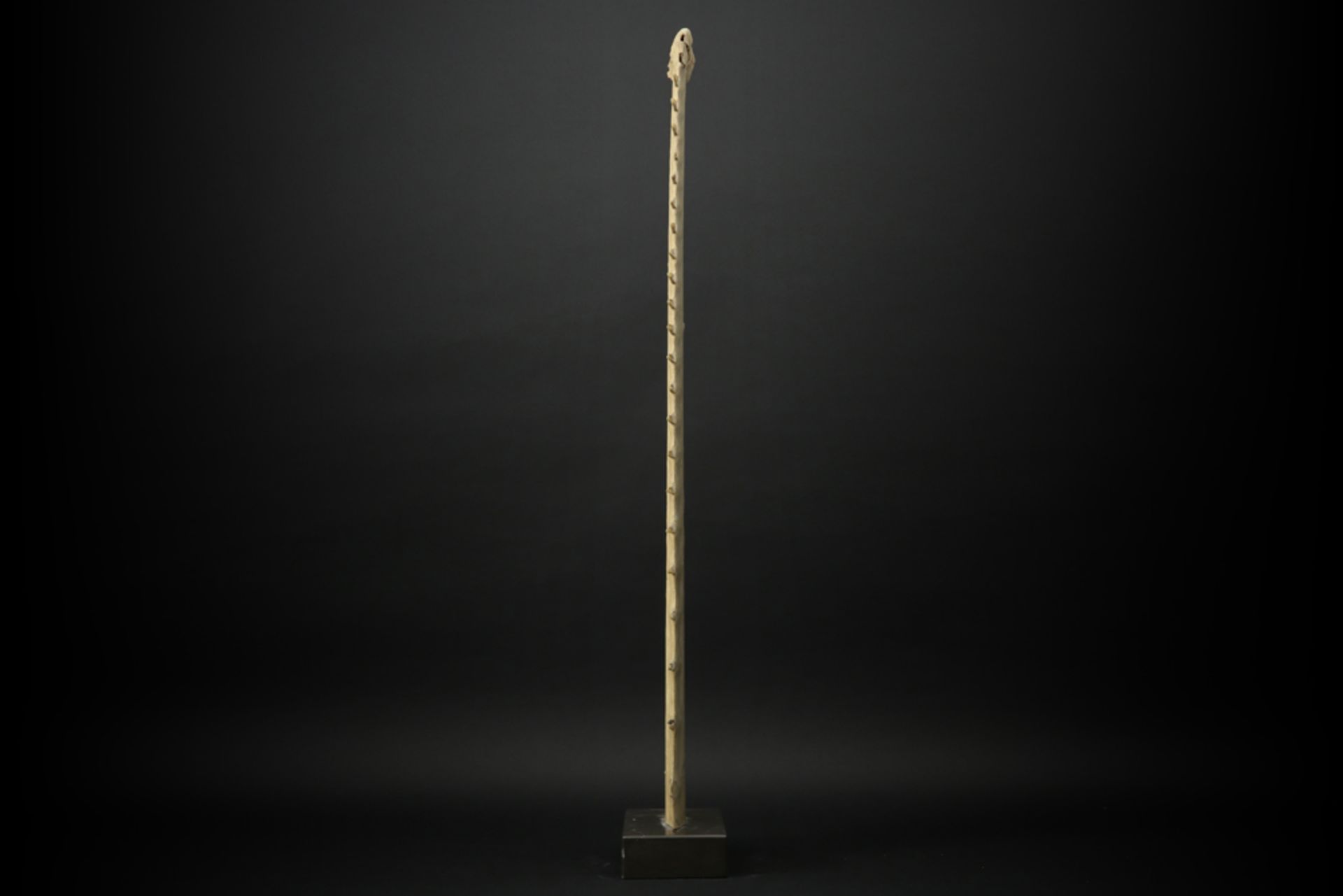 rostrum of a sawfish on a marble base || Rostrum/snuit van een zaagvis - hoogte : 96 cm - op een - Image 3 of 3