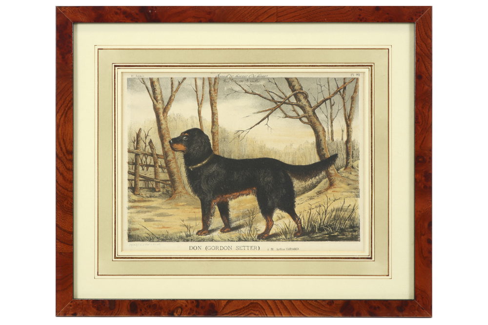 eight old prints in colors each with the depiction of a dog || Lot van acht oude kleurgravures - Image 4 of 9