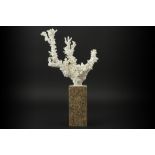 piece of coral on a marble base || Stuk koraal op marmeren basis - hoogte : 25 cm