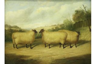 English oil on panel || Engels olieverfschilderij op paneel : "Landschap met schapen" - 30 x 40