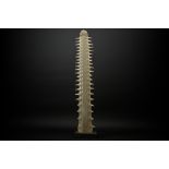 rostrum of a sawfish on a marble base || Rostrum/snuit van een zaagvis - hoogte : 96 cm - op een