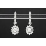 pair of elegant earrings in white gold (18 carat) each with an oval cut diamond surrounded by