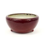 18th/19th Cent. Chinese bowl in porcelain with "oxblood" glaze bought from Axel Vervoordt ||