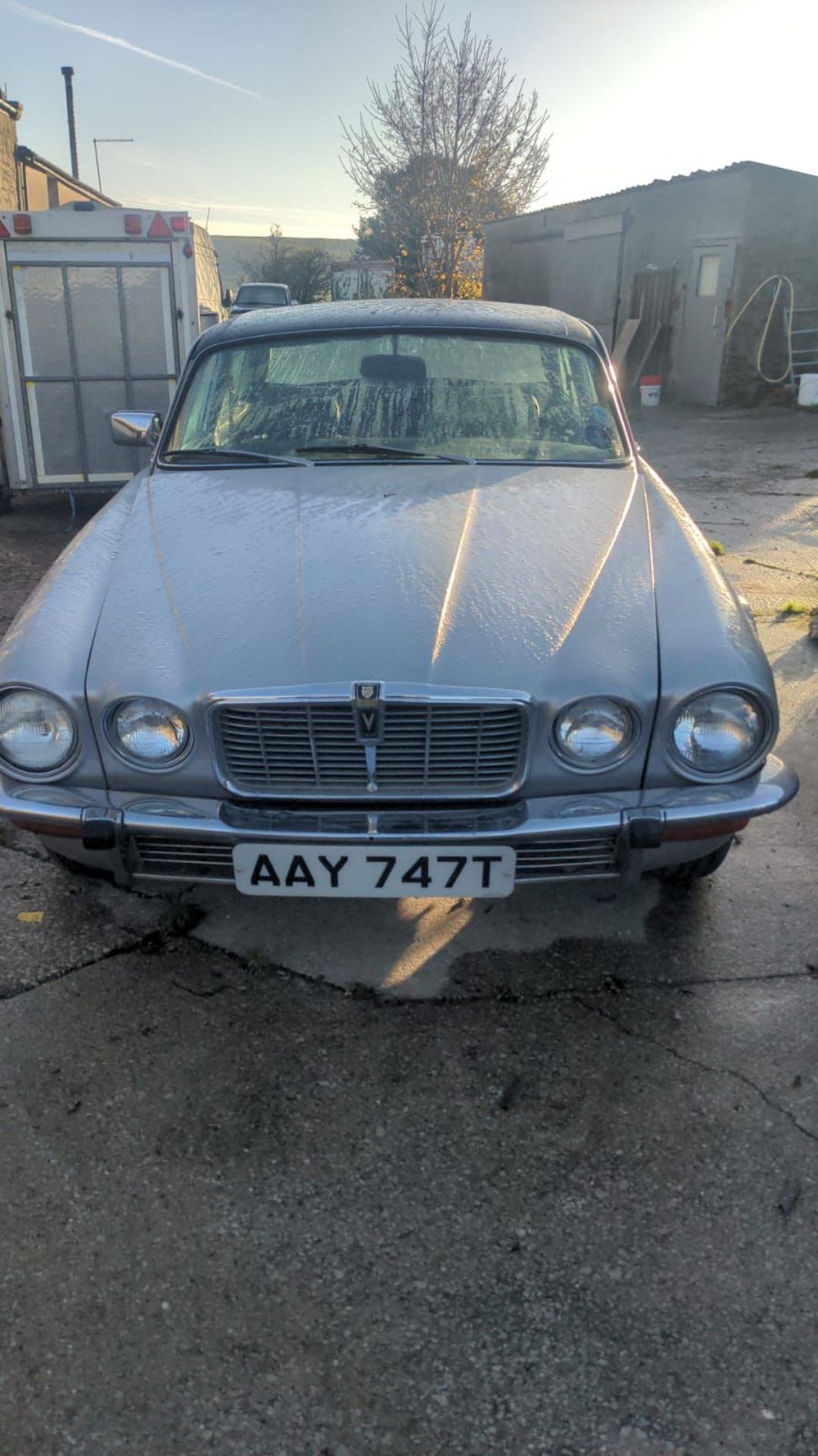 1978 JAGUAR 5.3 XJ12 L AUTO - 52K MILES - Image 3 of 9