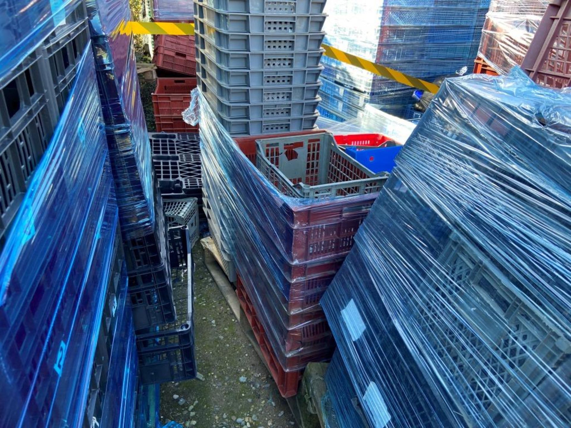 Five pallets of assorted plastic carry crates - Image 3 of 3