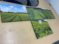 Four farm prints