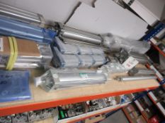 One shelf of various pneumatic cylinders