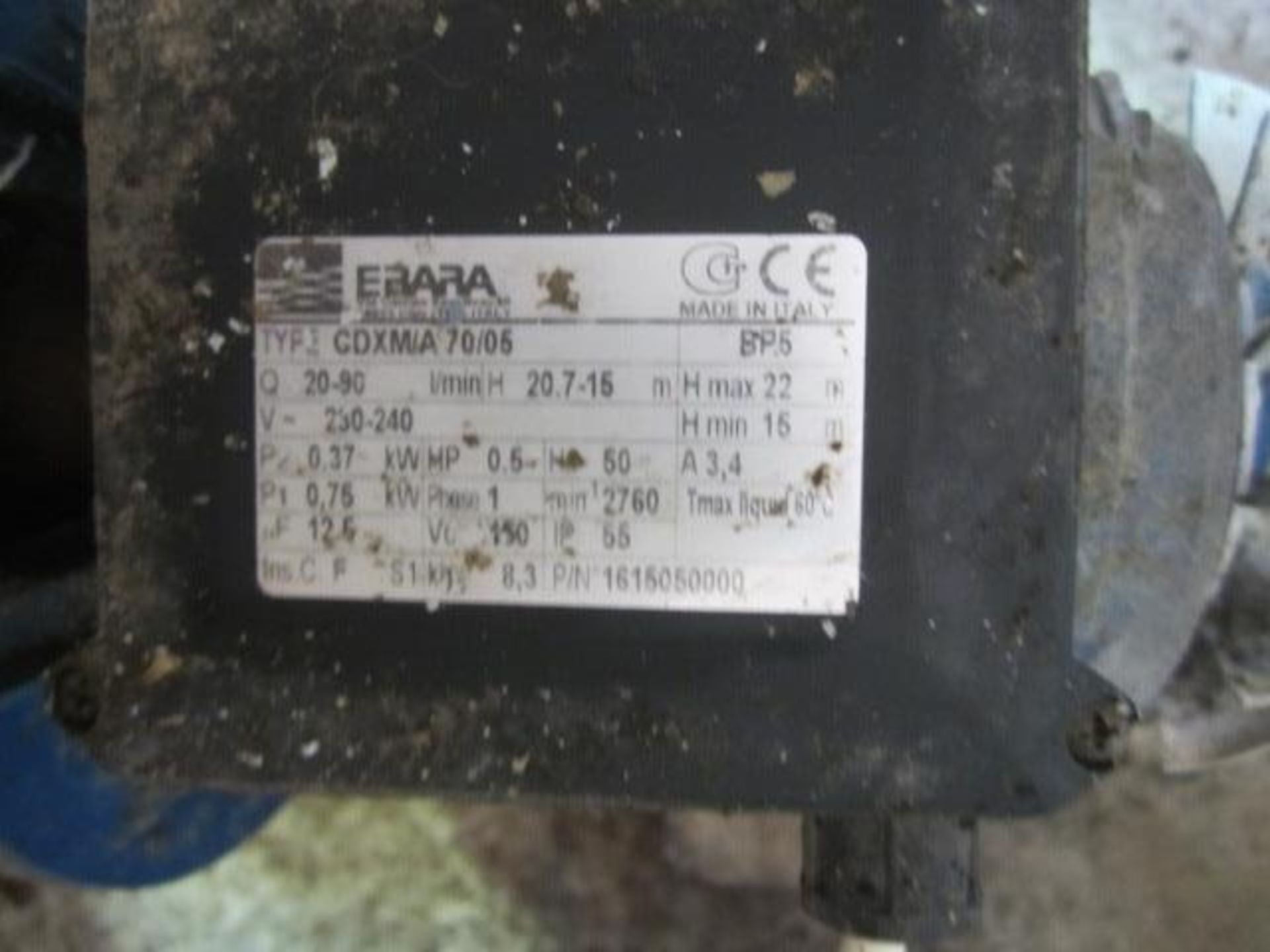 Ebara CDXM/A 70/05 diaphragm pump, serial no. 1615050000 Please note: Acceptance of the final - Image 2 of 3