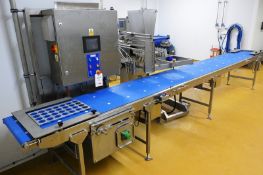 WMH ZRFLA PU stainless steel horizontal belt conveyor (2018)