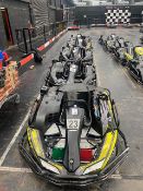 10 x RIMO alpha 2 270cc LPG fuelled karts approximately five years old karts