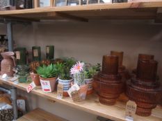 Contents of shelf including asstd candle holders, plants etc