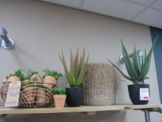 Contents of shelf, incl artificial plants