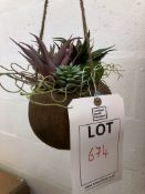 2 boxes of hanging artificial plants