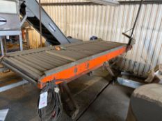 Variable speed roller / sorting conveyor 3000 x 1000mm with inspection light