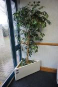 Artificial Office Plant