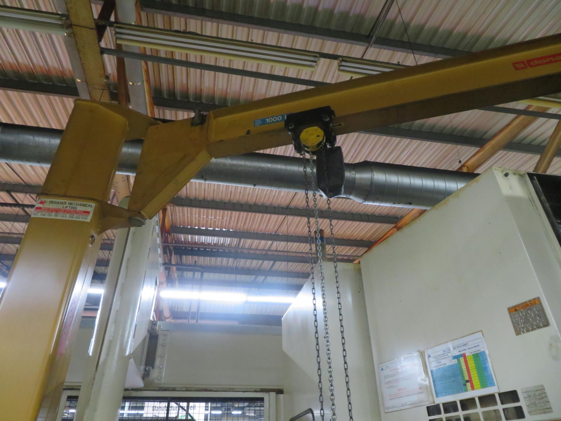 Donati Swing Jib Hoist