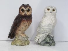 Royal Doulton "Short Eared Owl" and "Snowy Owl" Whyte & Makay Whiskey Decanters