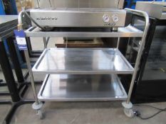 Three tier stainless steel trolley