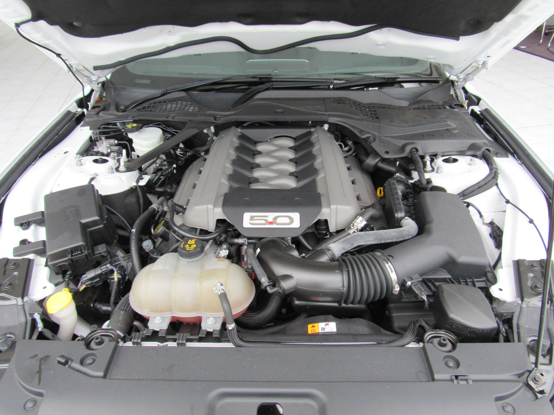 Ford Mustang GT 5.0L EW06, petrol, registration HK - Image 15 of 26