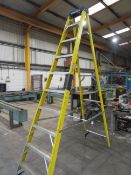 Werner 9 rung, fiber glass step ladder