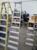 SGB Youngman's 10 step aluminium builders step ladders with unbadged aluminium step ladder (4 steps)