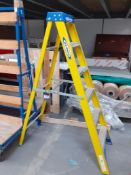 Werner Electricians Step Ladder