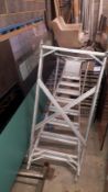 Aluminium 9 Tread Platform Ladder
