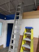 Lyte 12 stave triple extension ladder
