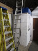 11 stave triple extension ladder