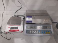 AE Adam CBK16 Scales, s/n AE6002803, with Ohaus Scout scales