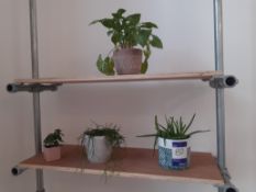 4 small Plant Displays