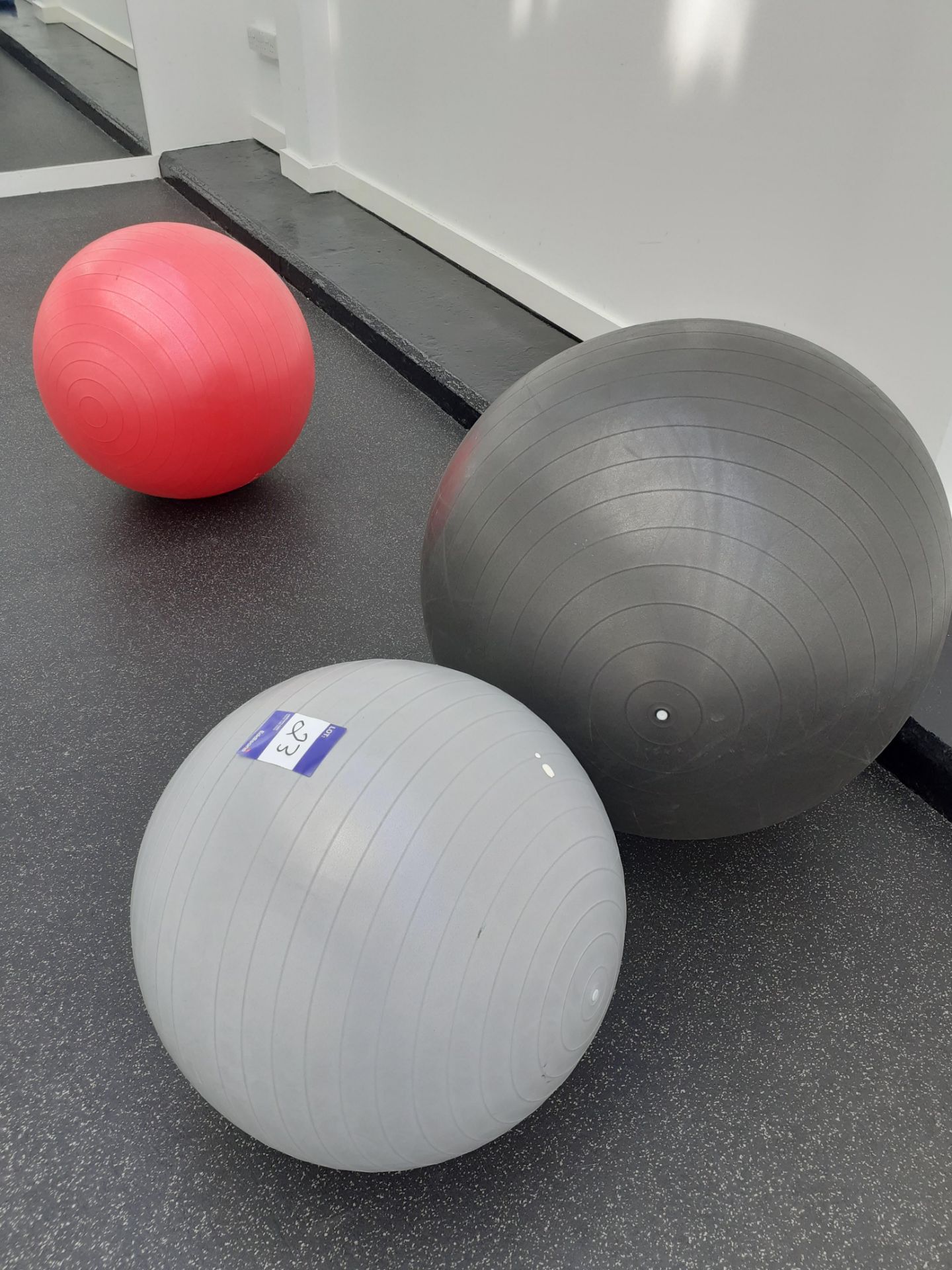 Quantity of 66Fit Weights & 3 Exercise Balls - Image 2 of 2
