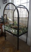 The Gilded Raven Bird Cage Display