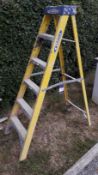 Werner 6-Tread Electrician’s Ladder