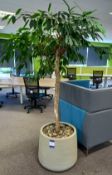 Artificial Office Tree to Resin Pot 2m(h)