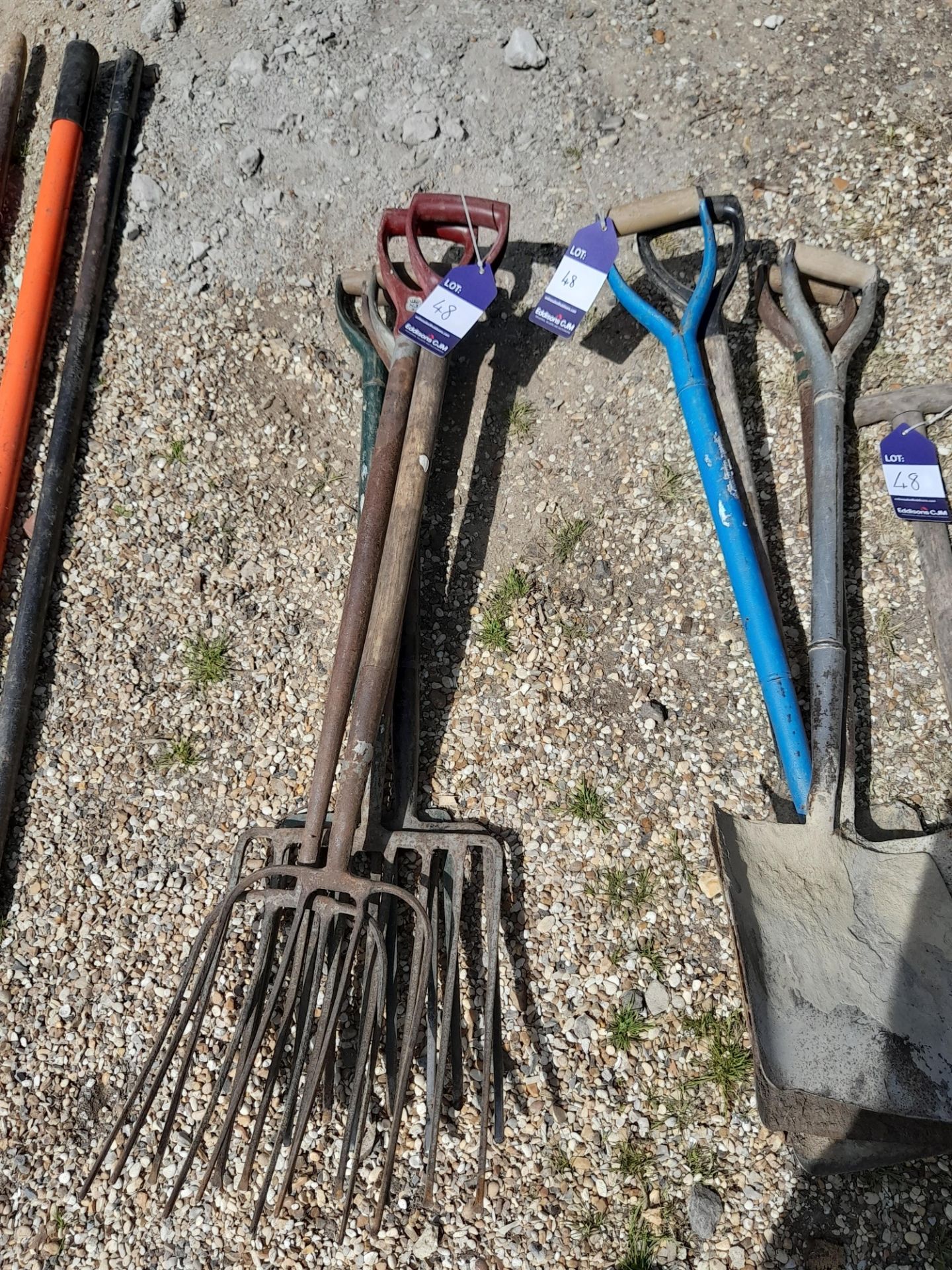 Quantity of Digging Tools to include Shovels & Forks - Image 4 of 4