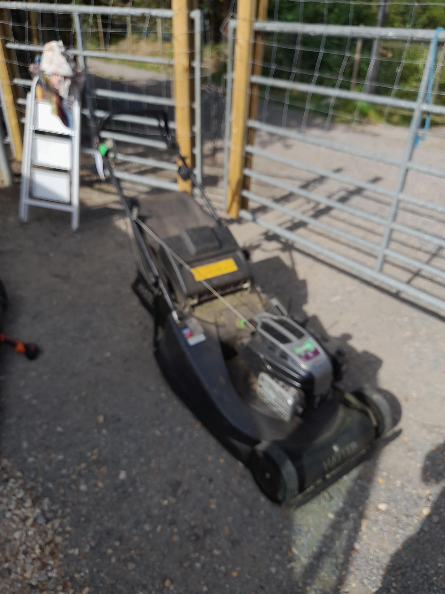 Hayter Harrier 56 Pro Self-Propelled Petrol Lawnmower (2019) Serial Number 405416731 with Briggs &