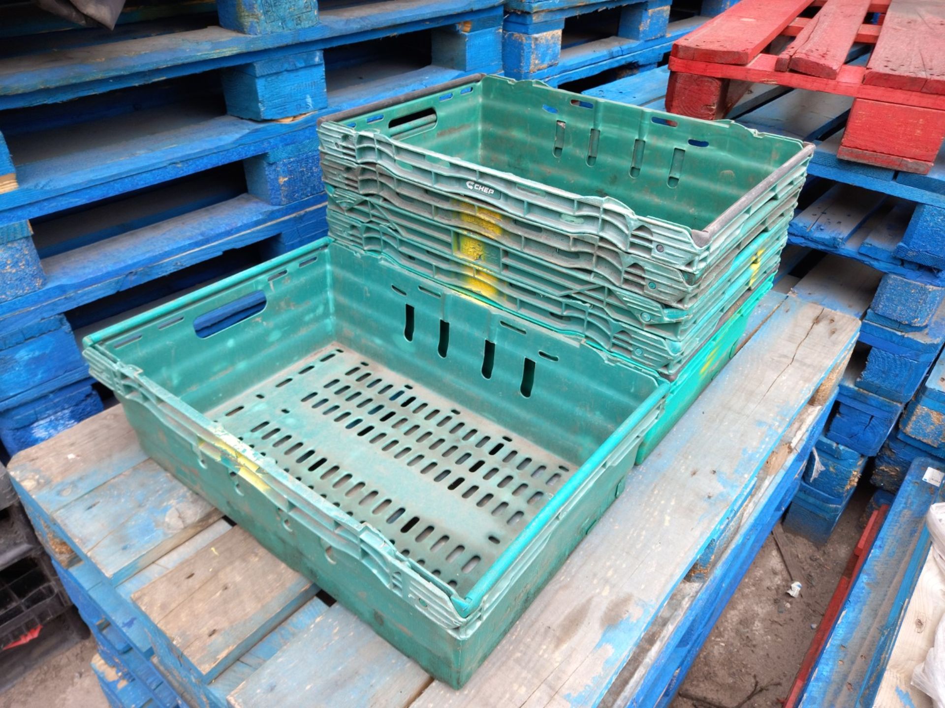 Approx. 1000 Plastic Vegetable Harvesting Baskets / Trays to 5 x Pallets - Image 2 of 2