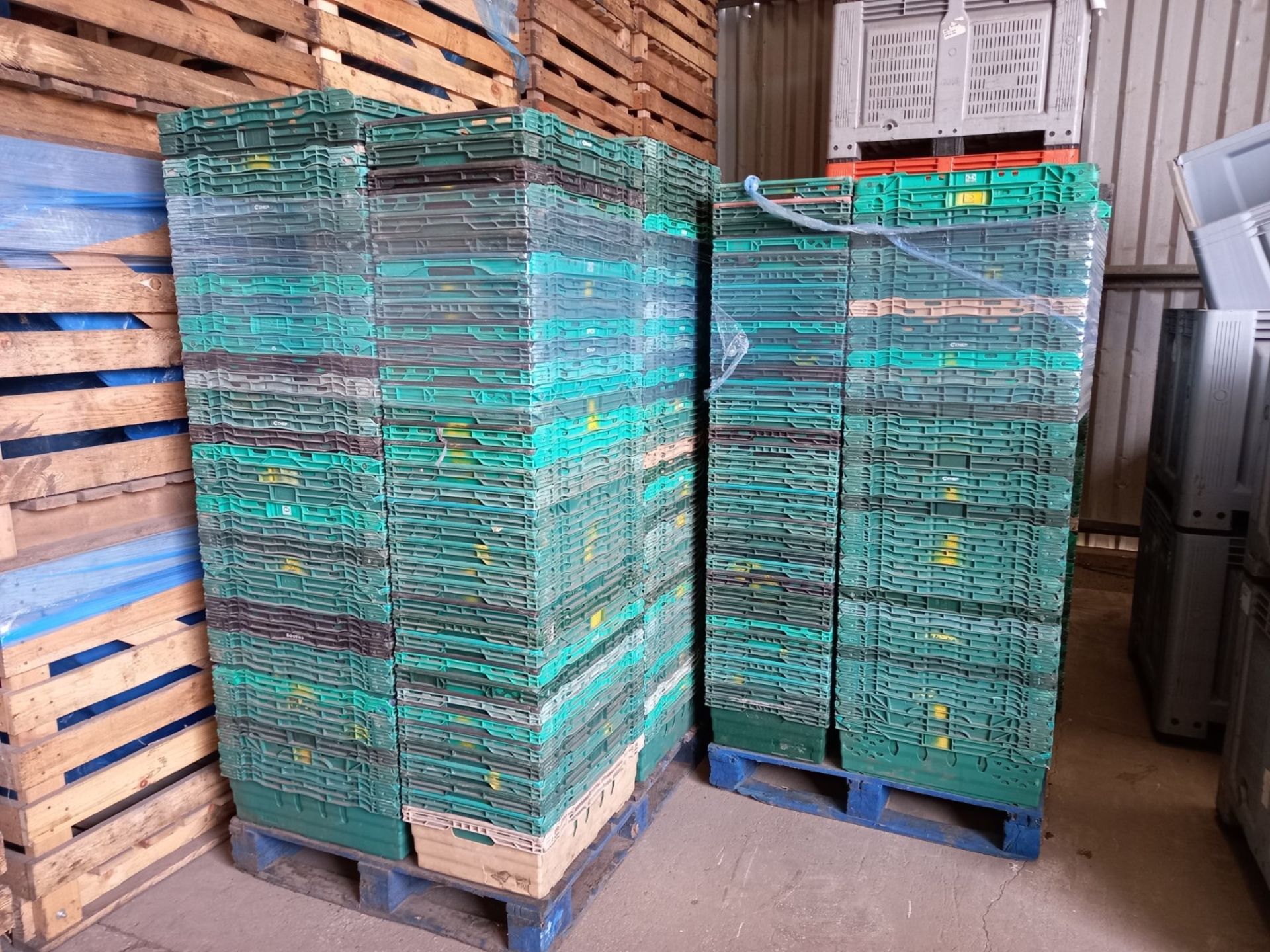 Approx. 1000 Plastic Vegetable Harvesting Baskets / Trays to 5 x Pallets