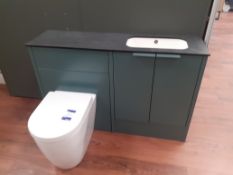 Cabinet Unit with Sink & Low Level WC