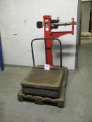 Avery 250kg Capacity Freestanding Industrial Platform Scale